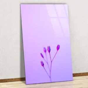 Impression minimaliste de fleur de pavot orange – Art mural floral moderne sur aluminium brillant.