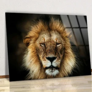 Art mural lion majestueux – Portrait animalier sur aluminium brillant.