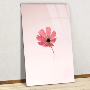 Impression minimaliste d’une fleur de cosmos rose sur plaque aluminium brillante