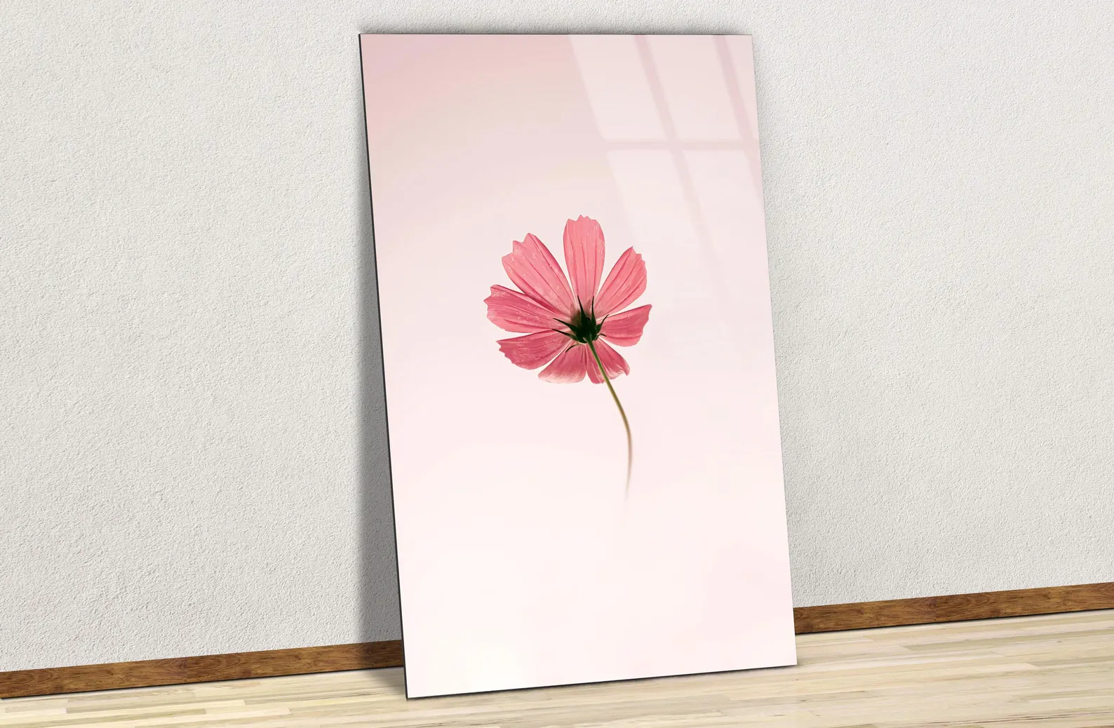 Impression minimaliste d’une fleur de cosmos rose sur plaque aluminium brillante