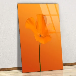 Art mural fleur de pavot orange – Impression minimaliste sur plaque aluminium brillante.
